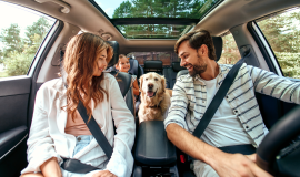 Familia dentro de un coche, mirando todos a su perro situado en el centro