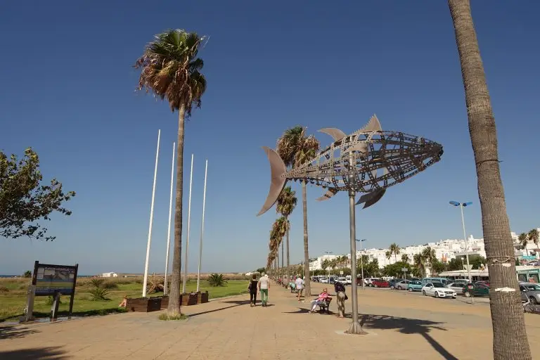 Tren Turístico de Conil