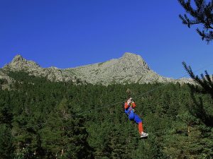 Entre Ramas Aventura