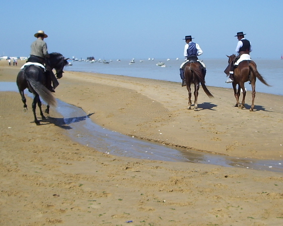 Finca Guzmán Hípica