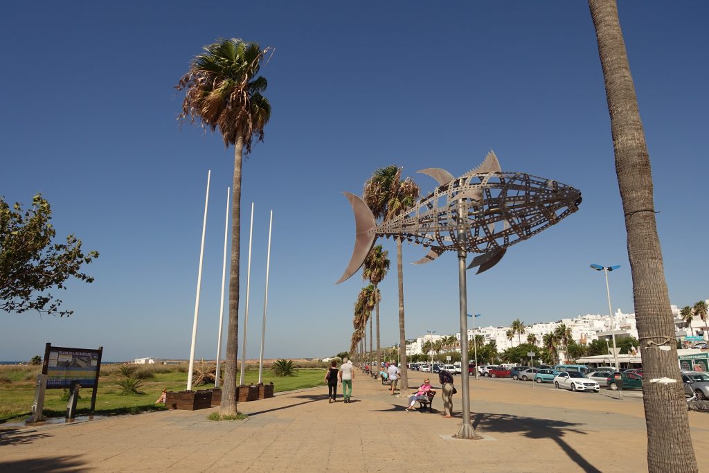 Oficina de Turismo de Conil