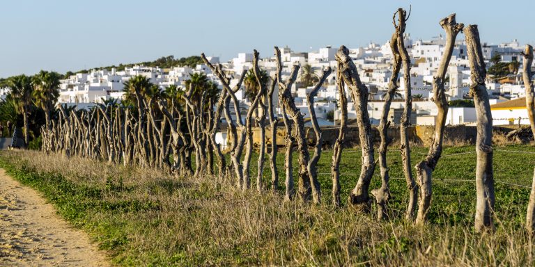 Ruta Castilnovo y Torre de Castilnovo