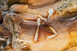 Sendero El Colorado – Roche