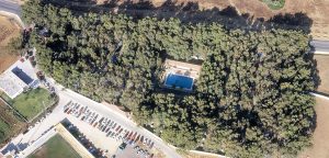 Camping Los Eucaliptos